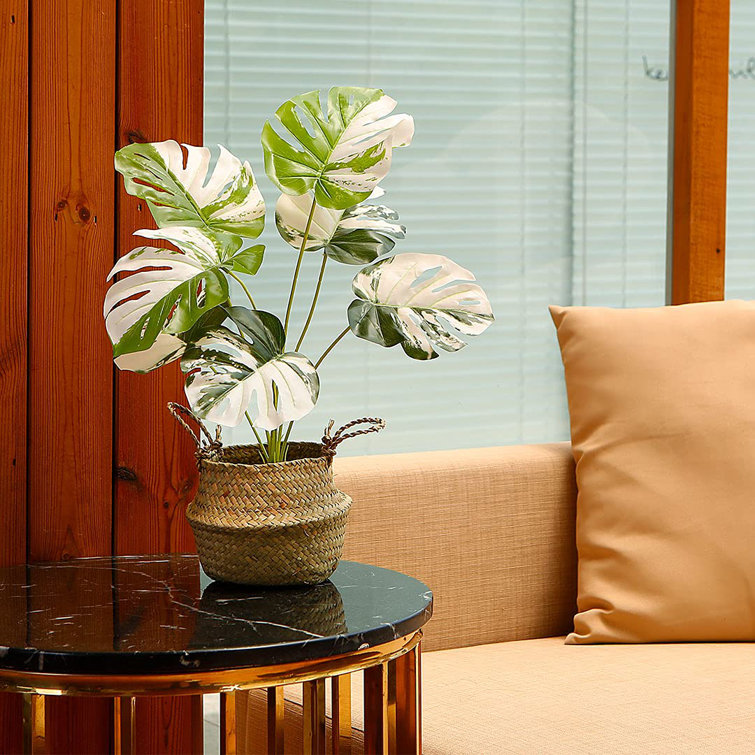 Primrue Artificial Plants Mini Tabletop Bonsai, 12 & 22Inch, Silk Fake Tropical Plants, Indoor